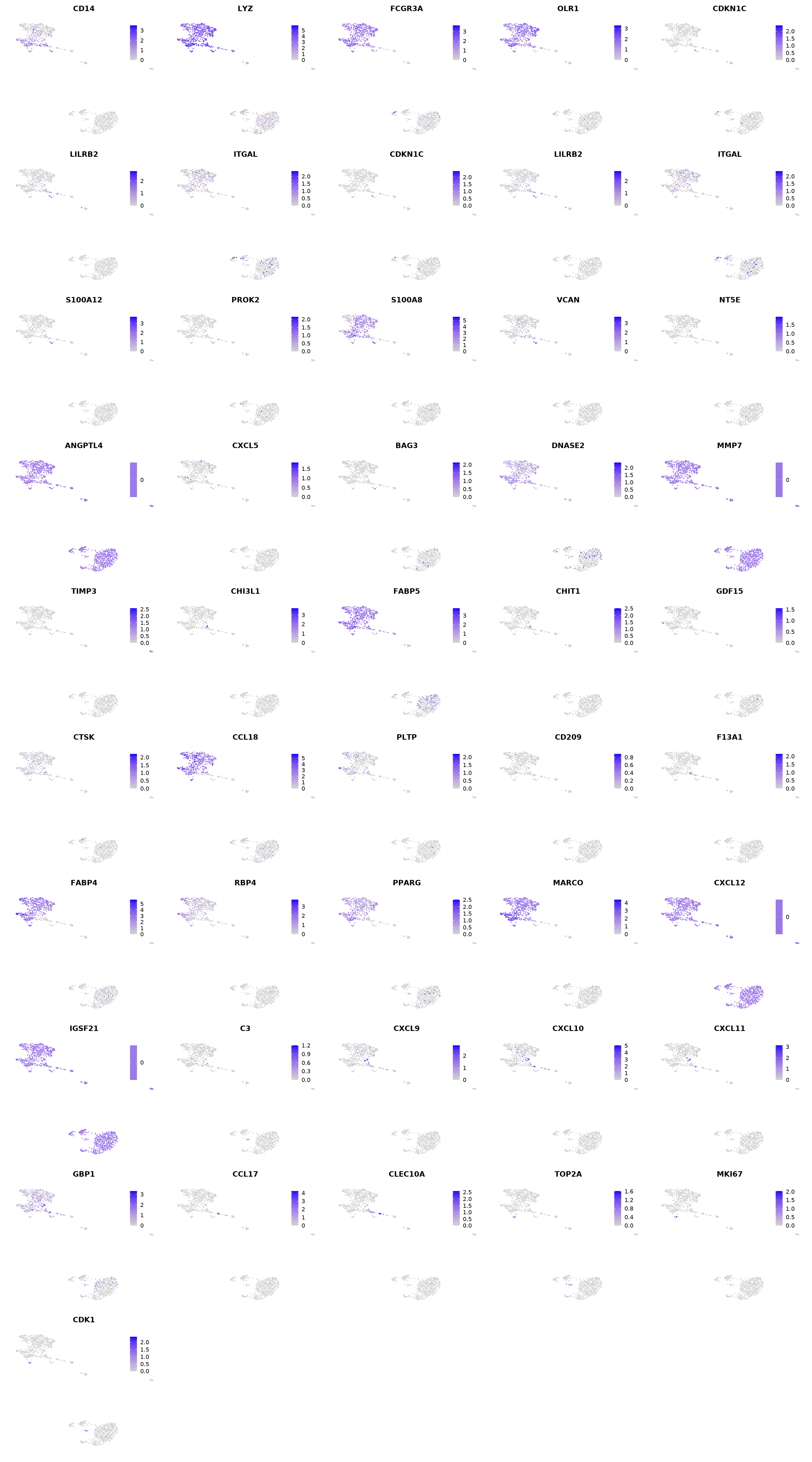 output_116_1.png