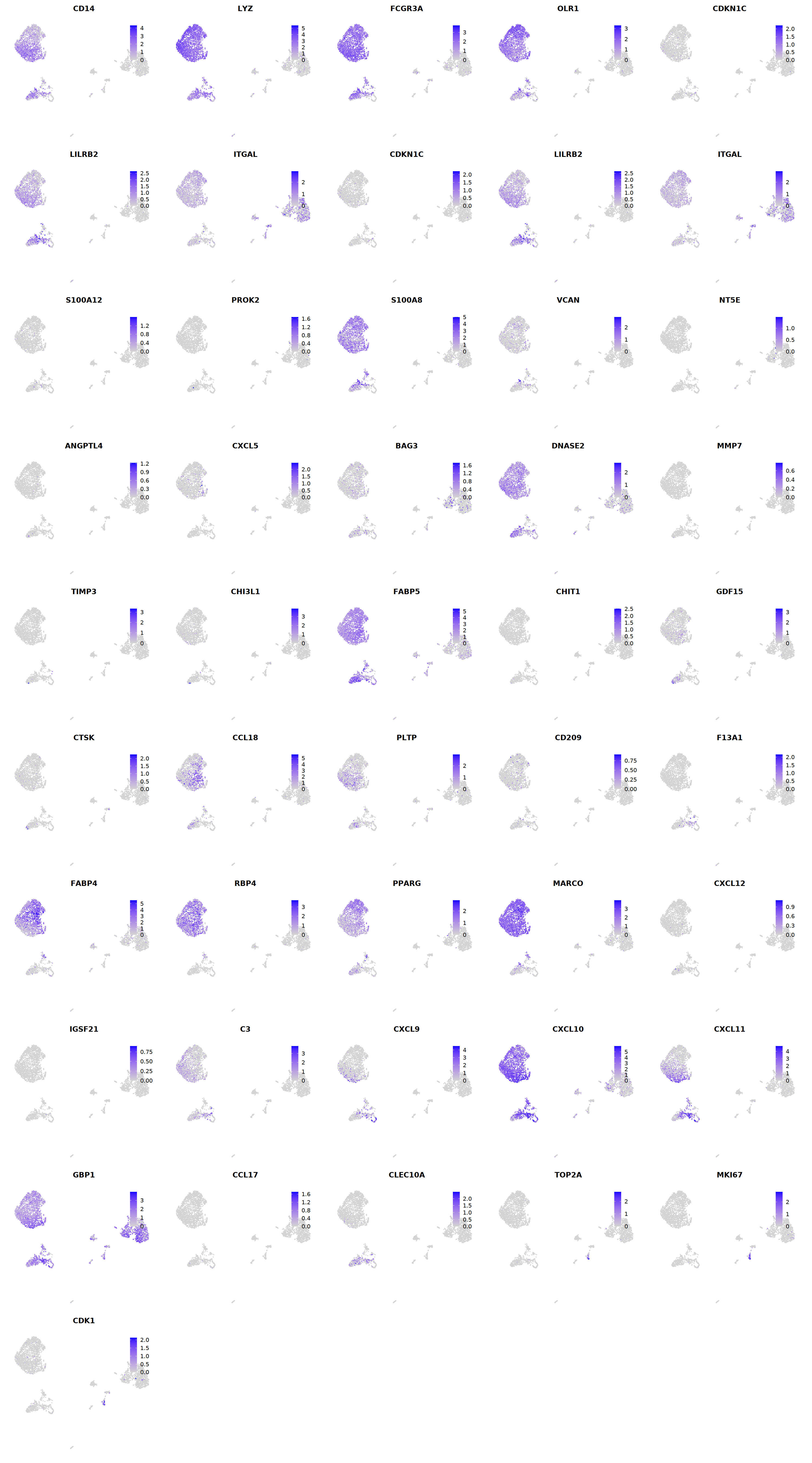 output_150_0.png