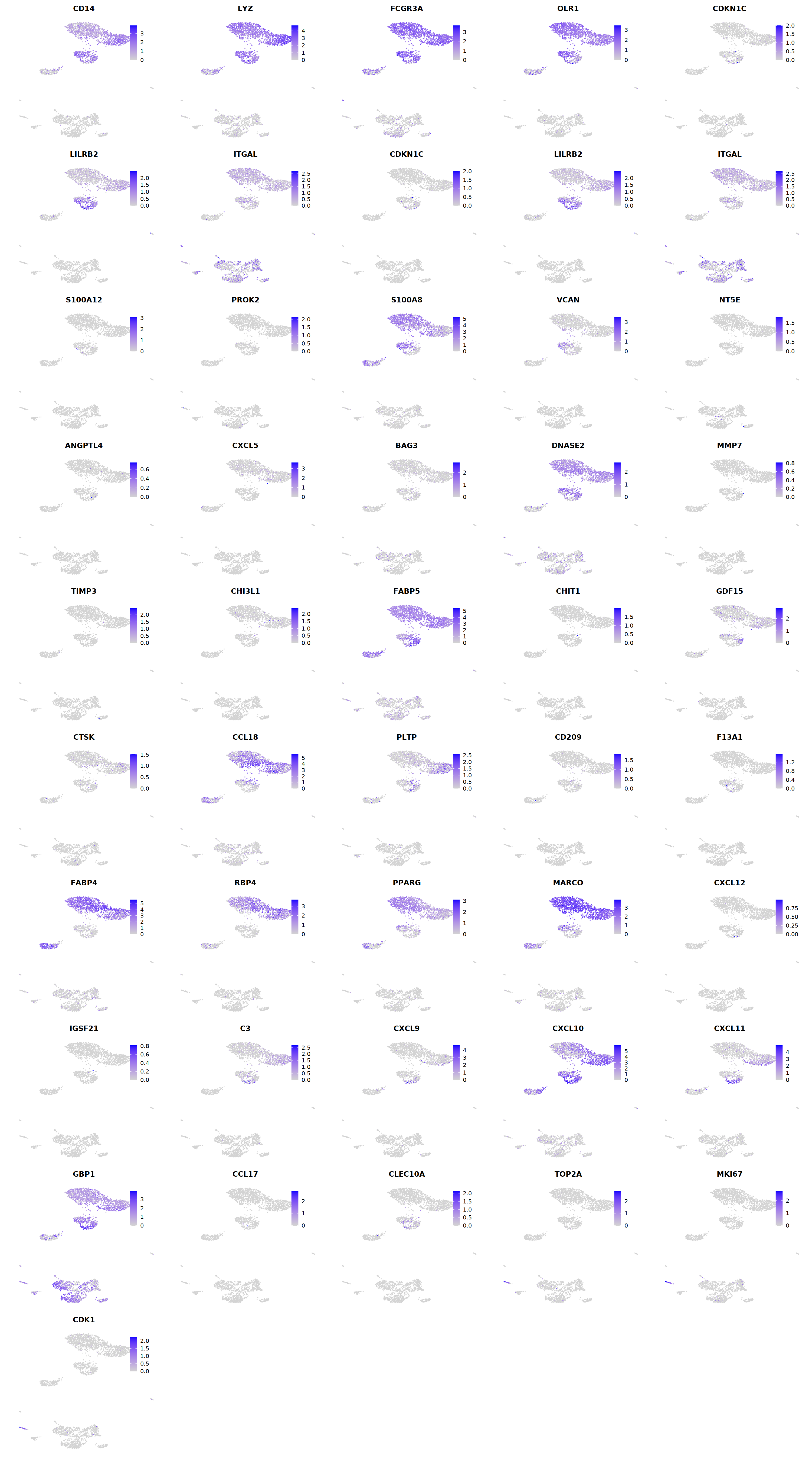 output_184_0.png