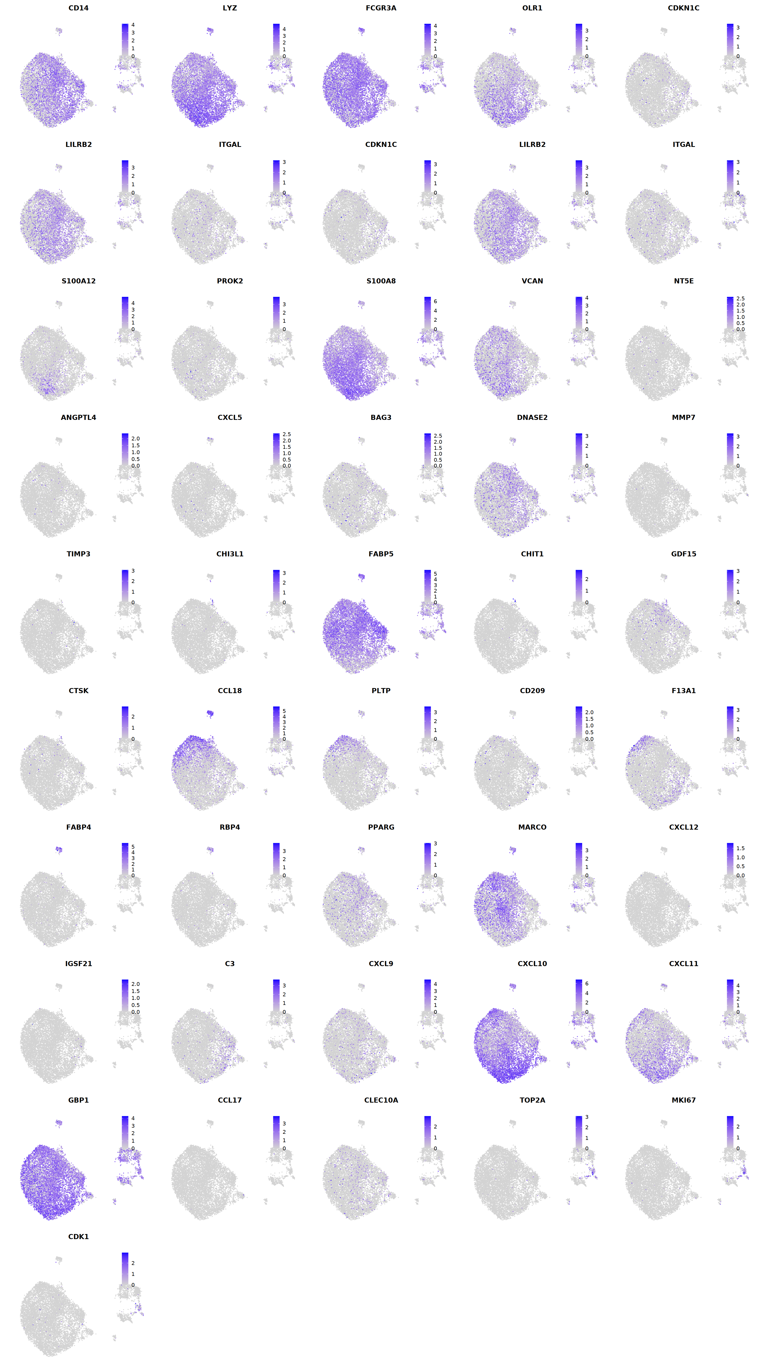 output_222_0.png