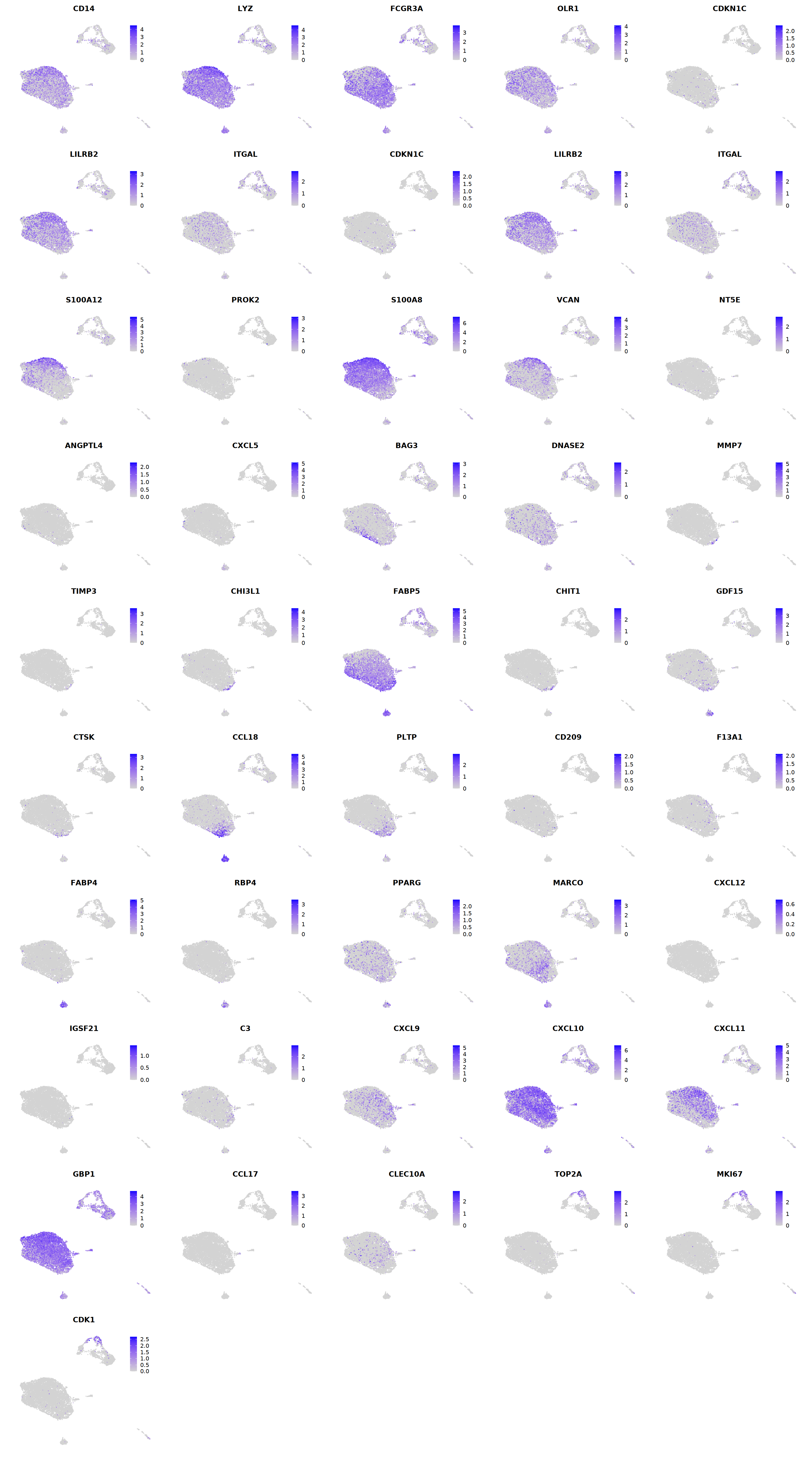 output_234_0.png