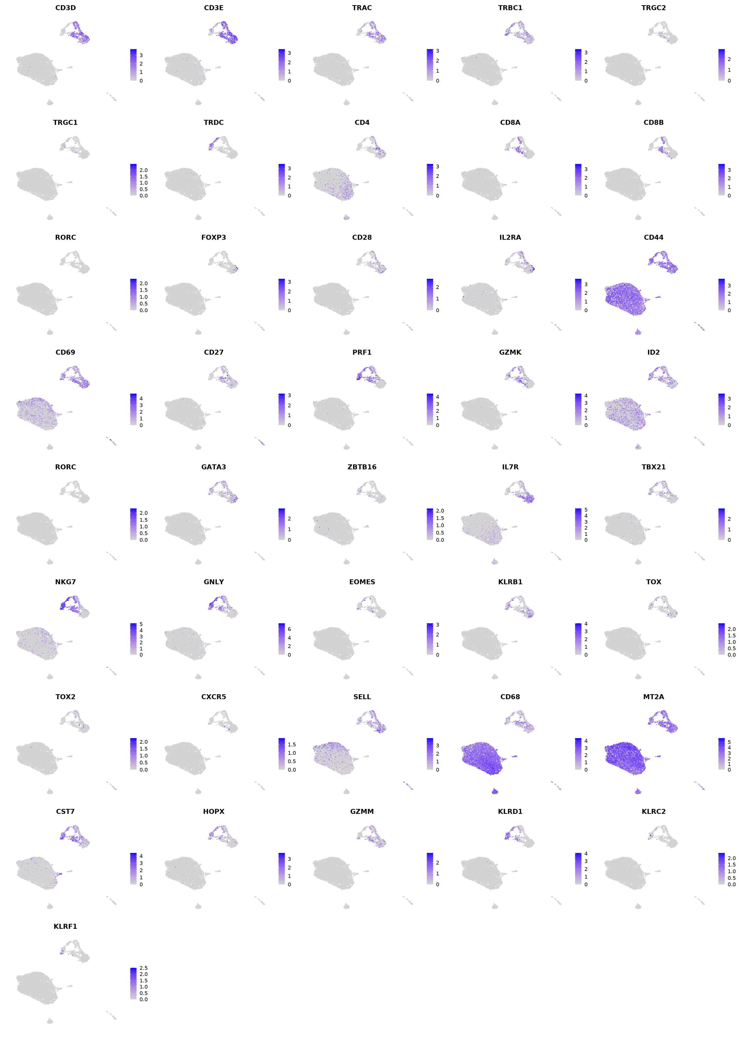 output_237_0.png
