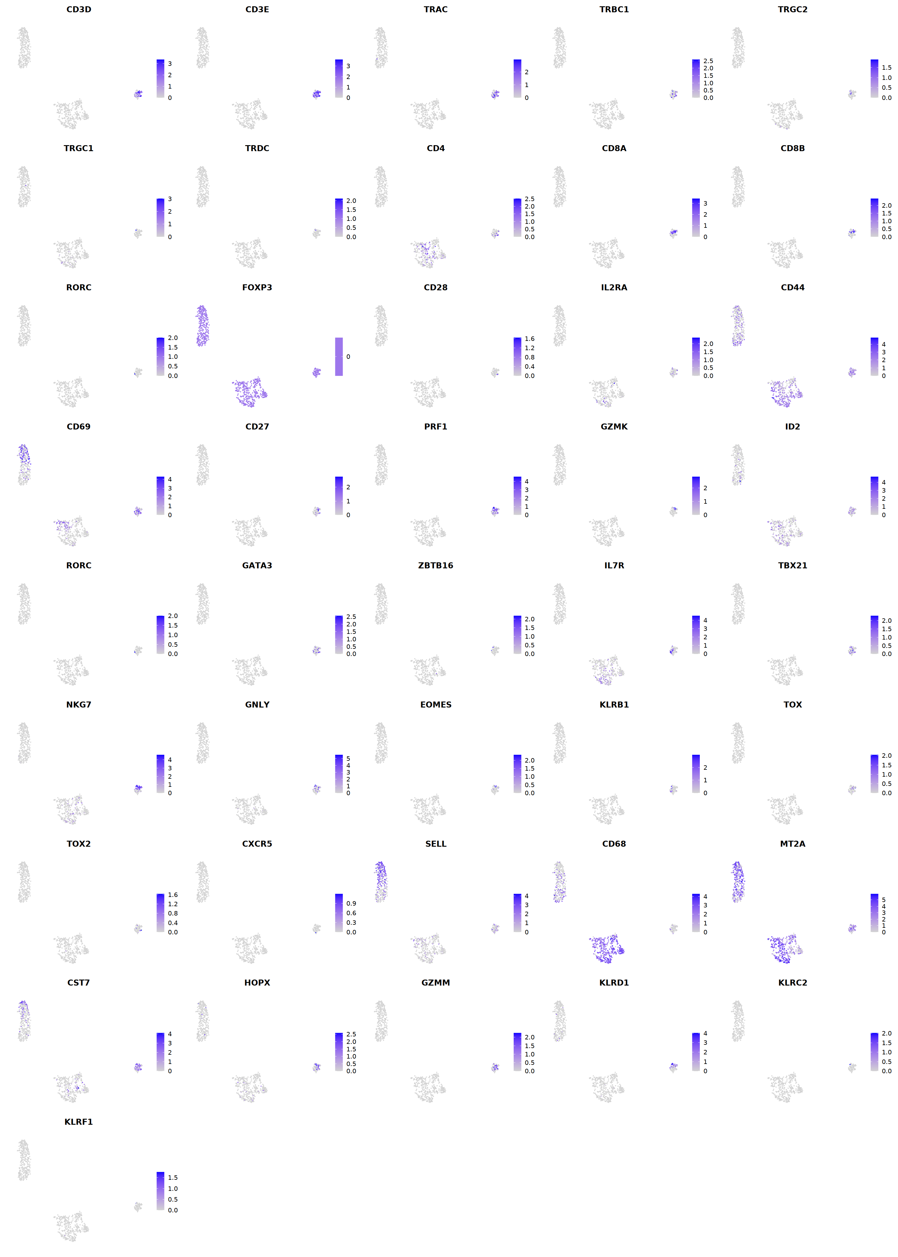 output_250_1.png