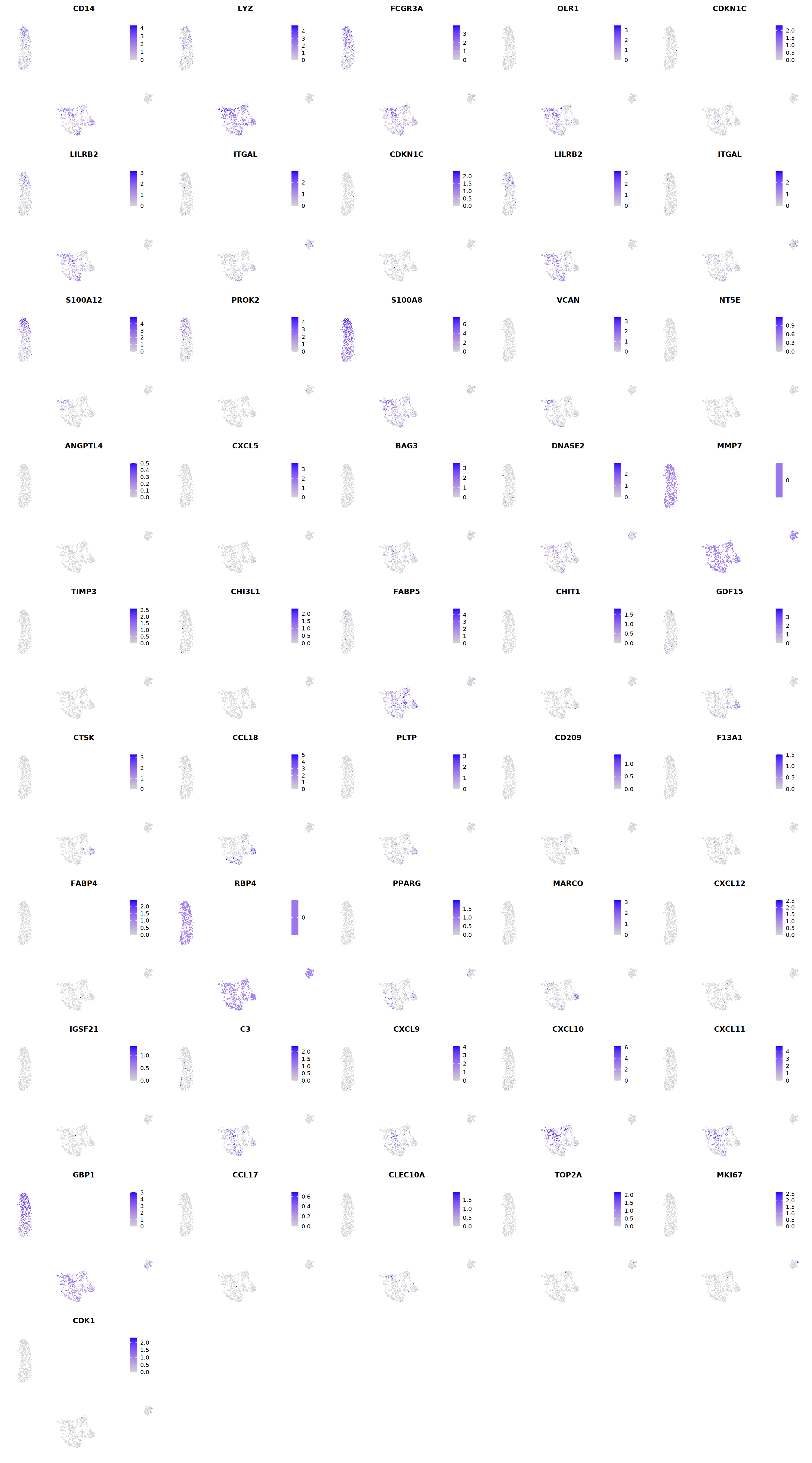 output_258_1.png