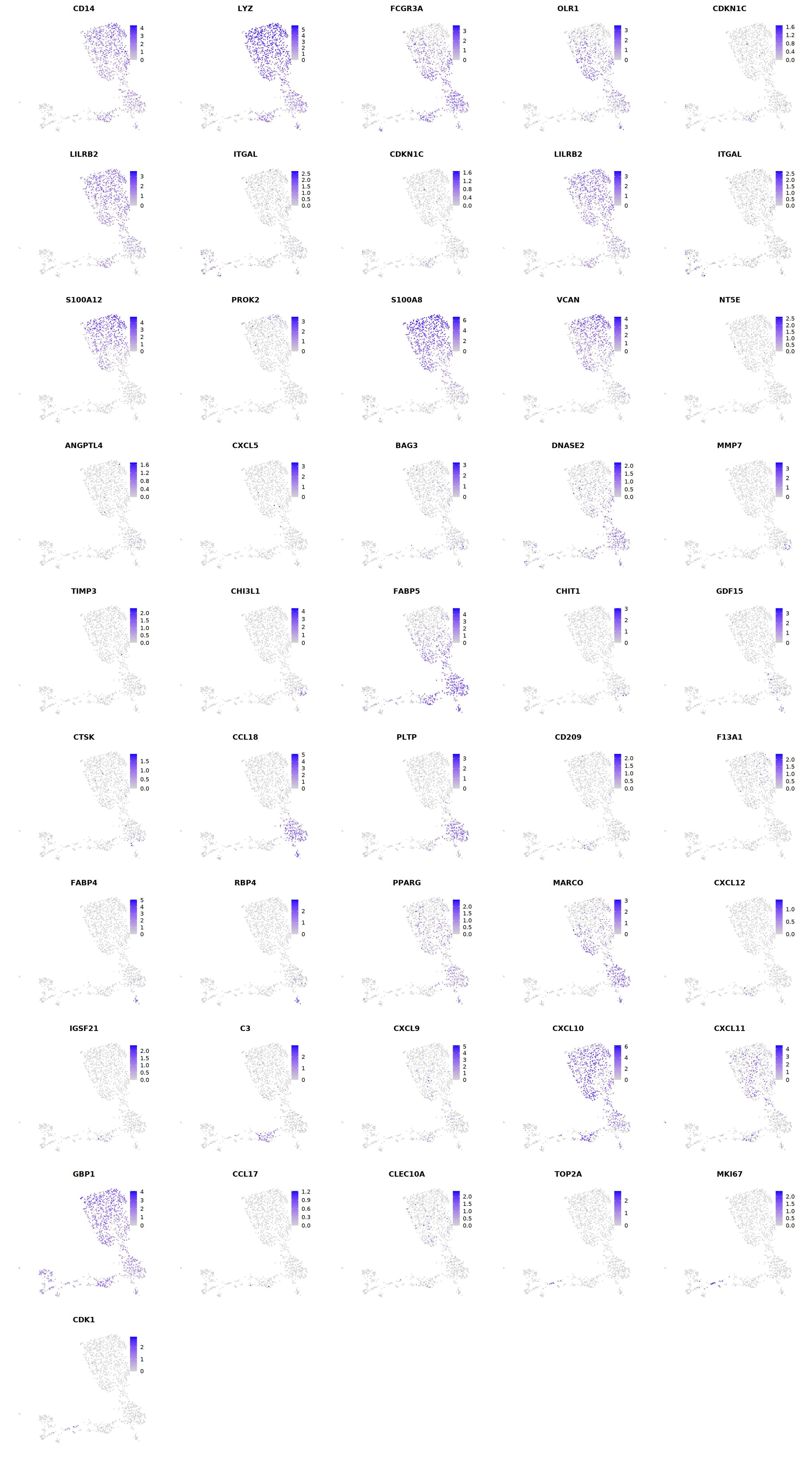 output_275_0.png