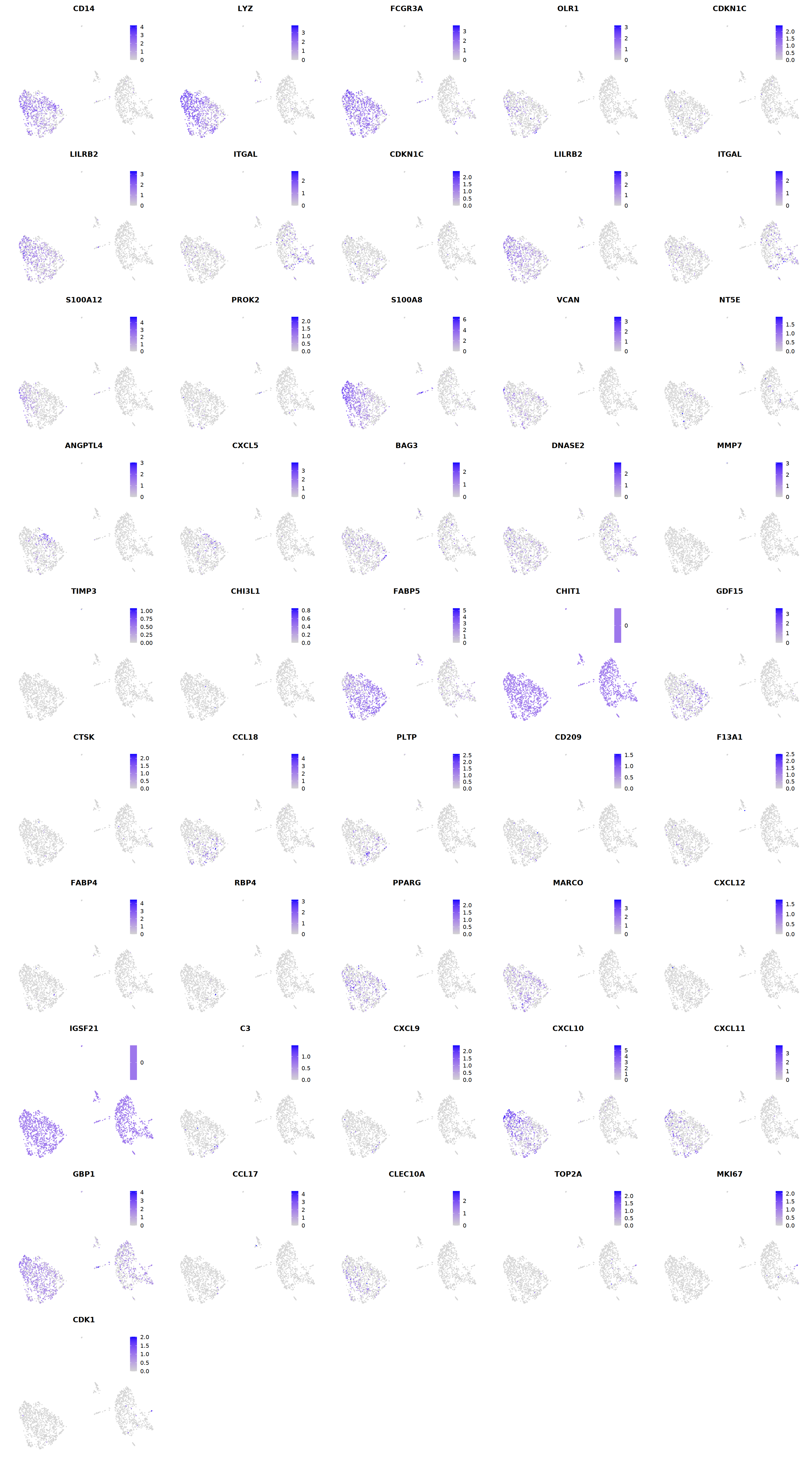 output_295_1.png