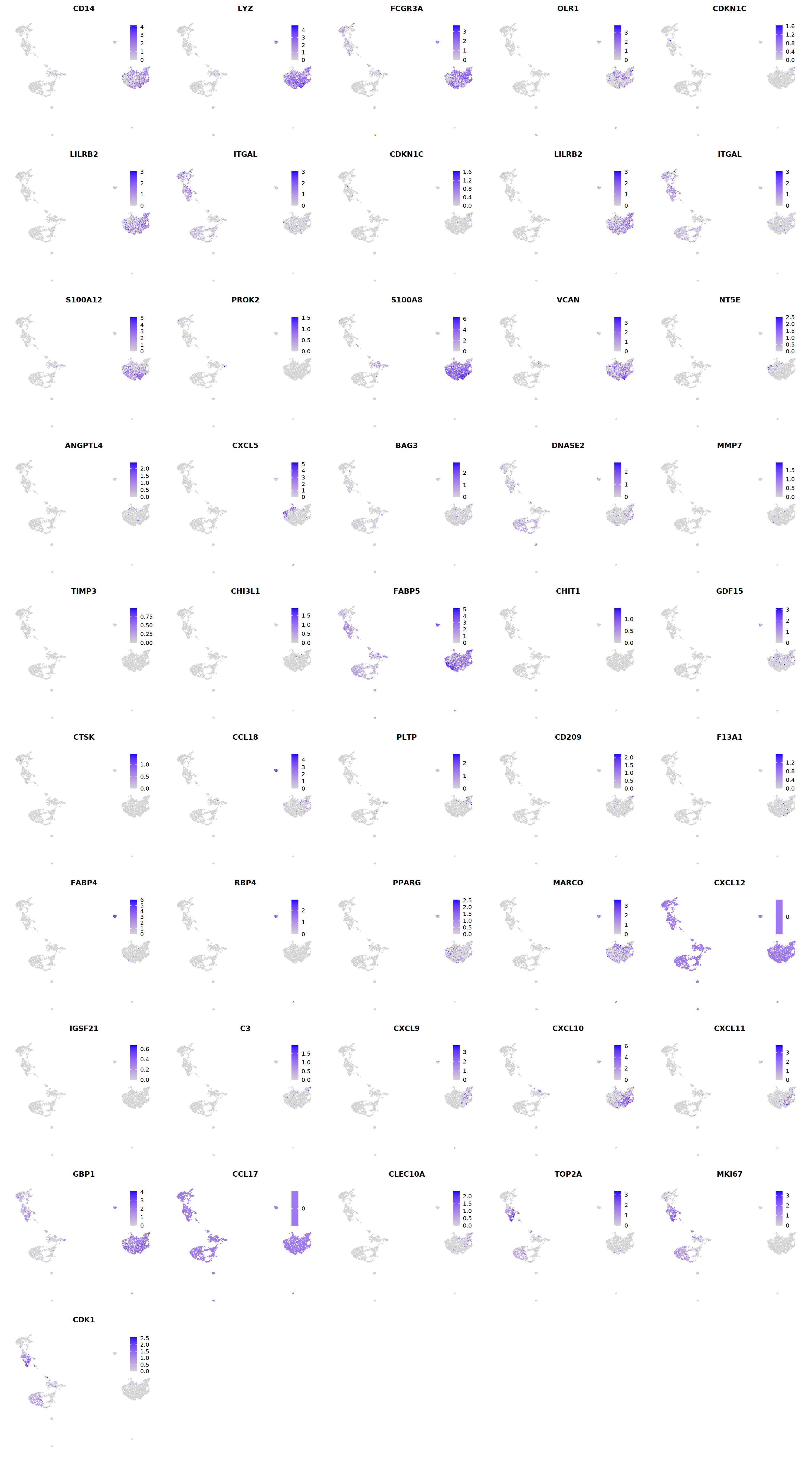 output_308_1.png