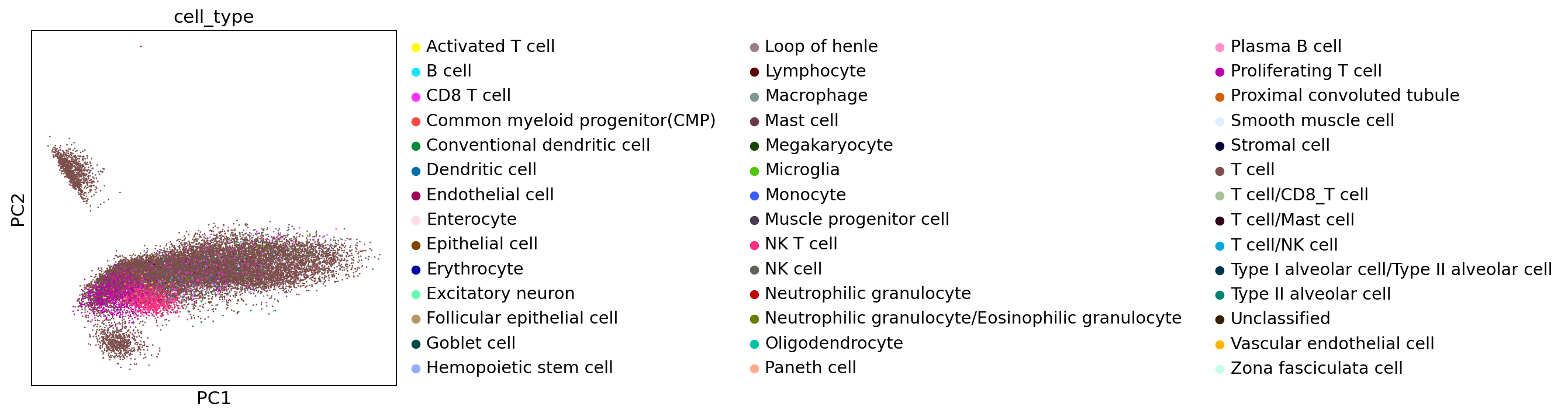 _images/output_38_0.png