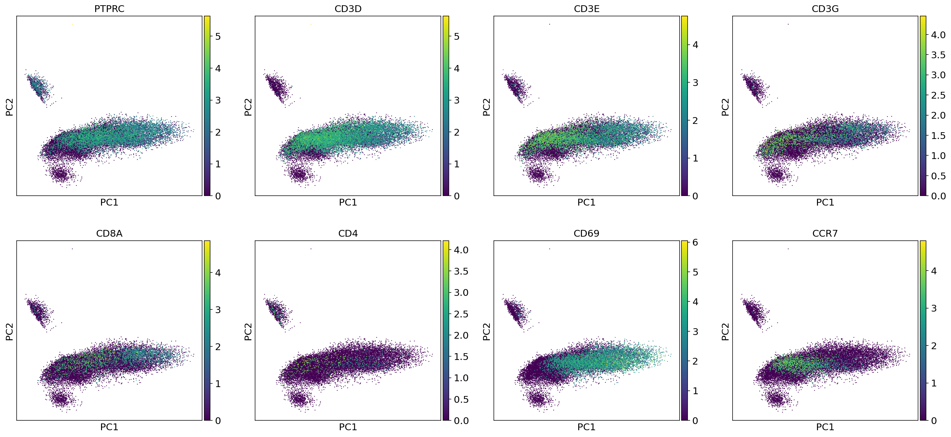 _images/output_39_0.png
