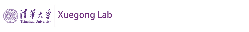 The logo of Xuegong lab